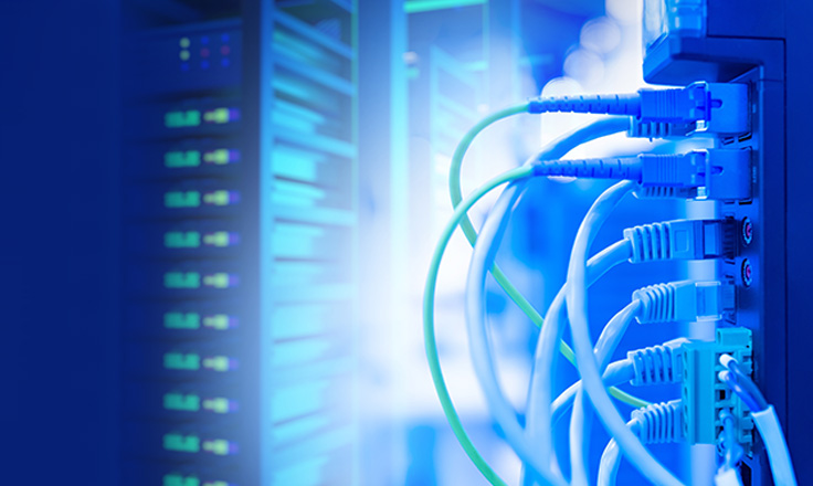 FDH vs. FDP: Understanding the Differences in Fiber Distribution 